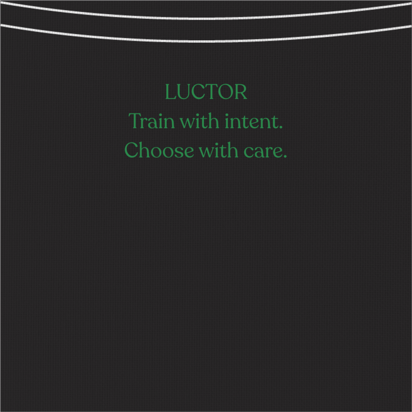 Luctor Mosaic V1