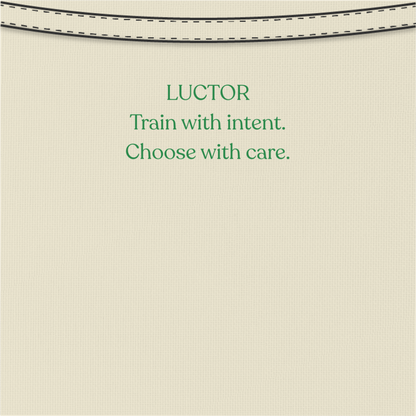 Luctor Mosaic V1